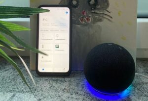 Smart Life mit Alexa verbinden? - So klappt es ganz einfach