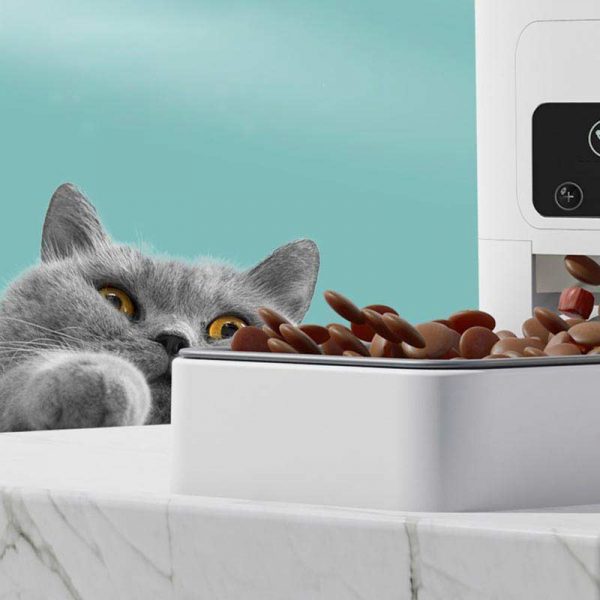 smart futterautomat hunde app smart life haustier produkte